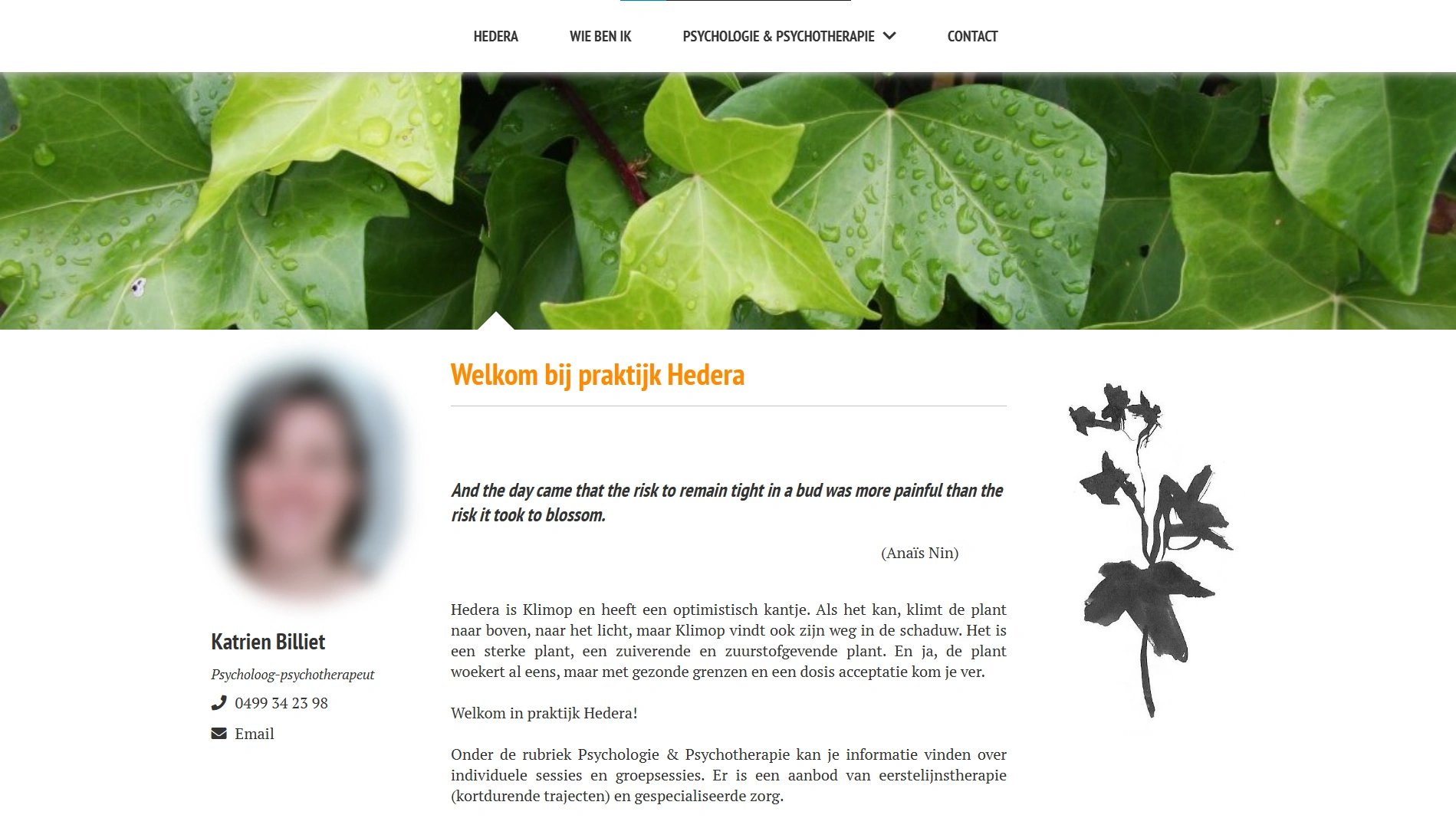 Hedera